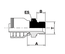 BSPP male